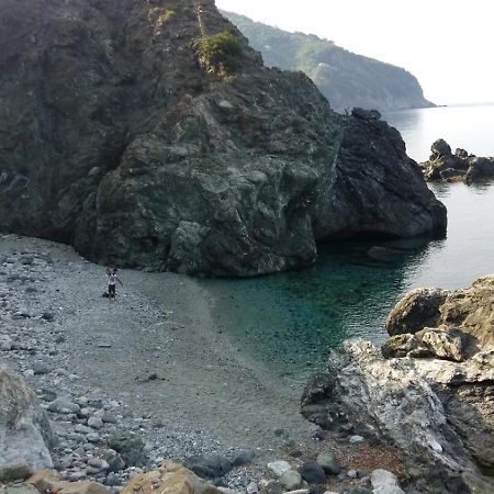 Casa Cinzia Bonassola Cinque Terre Daire Dış mekan fotoğraf