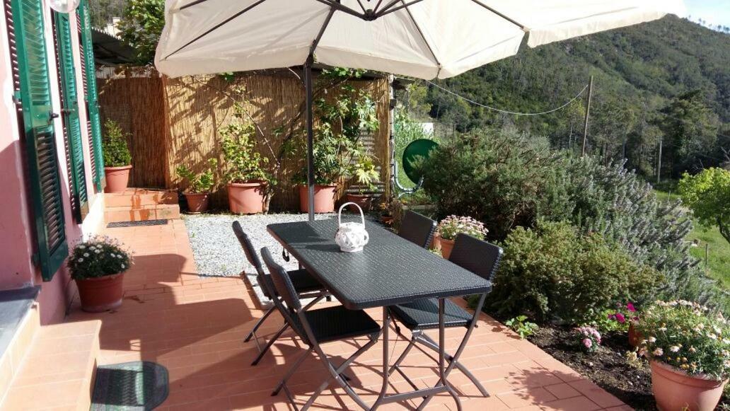 Casa Cinzia Bonassola Cinque Terre Daire Dış mekan fotoğraf