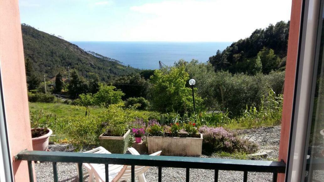 Casa Cinzia Bonassola Cinque Terre Daire Dış mekan fotoğraf