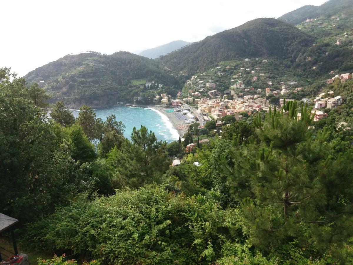 Casa Cinzia Bonassola Cinque Terre Daire Dış mekan fotoğraf
