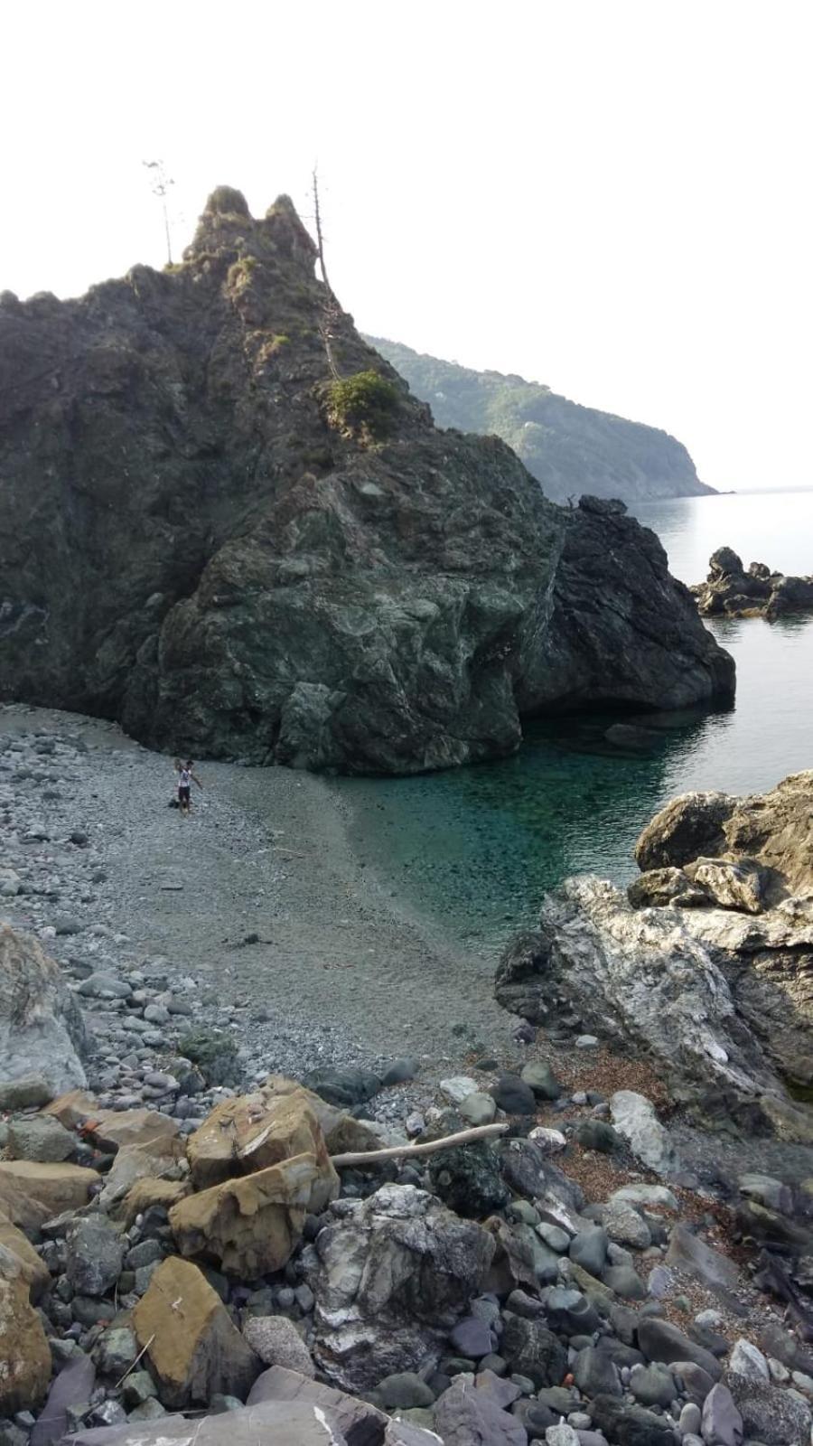 Casa Cinzia Bonassola Cinque Terre Daire Dış mekan fotoğraf