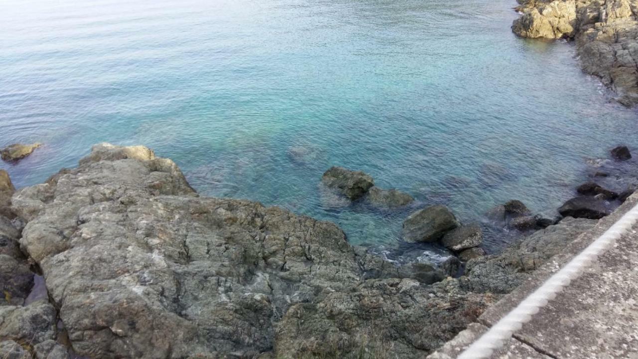 Casa Cinzia Bonassola Cinque Terre Daire Dış mekan fotoğraf