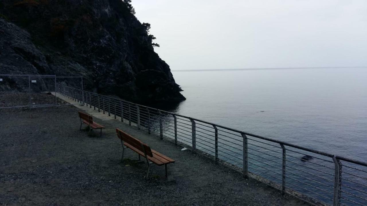 Casa Cinzia Bonassola Cinque Terre Daire Dış mekan fotoğraf