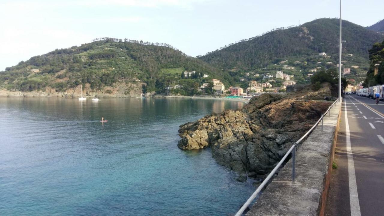 Casa Cinzia Bonassola Cinque Terre Daire Dış mekan fotoğraf