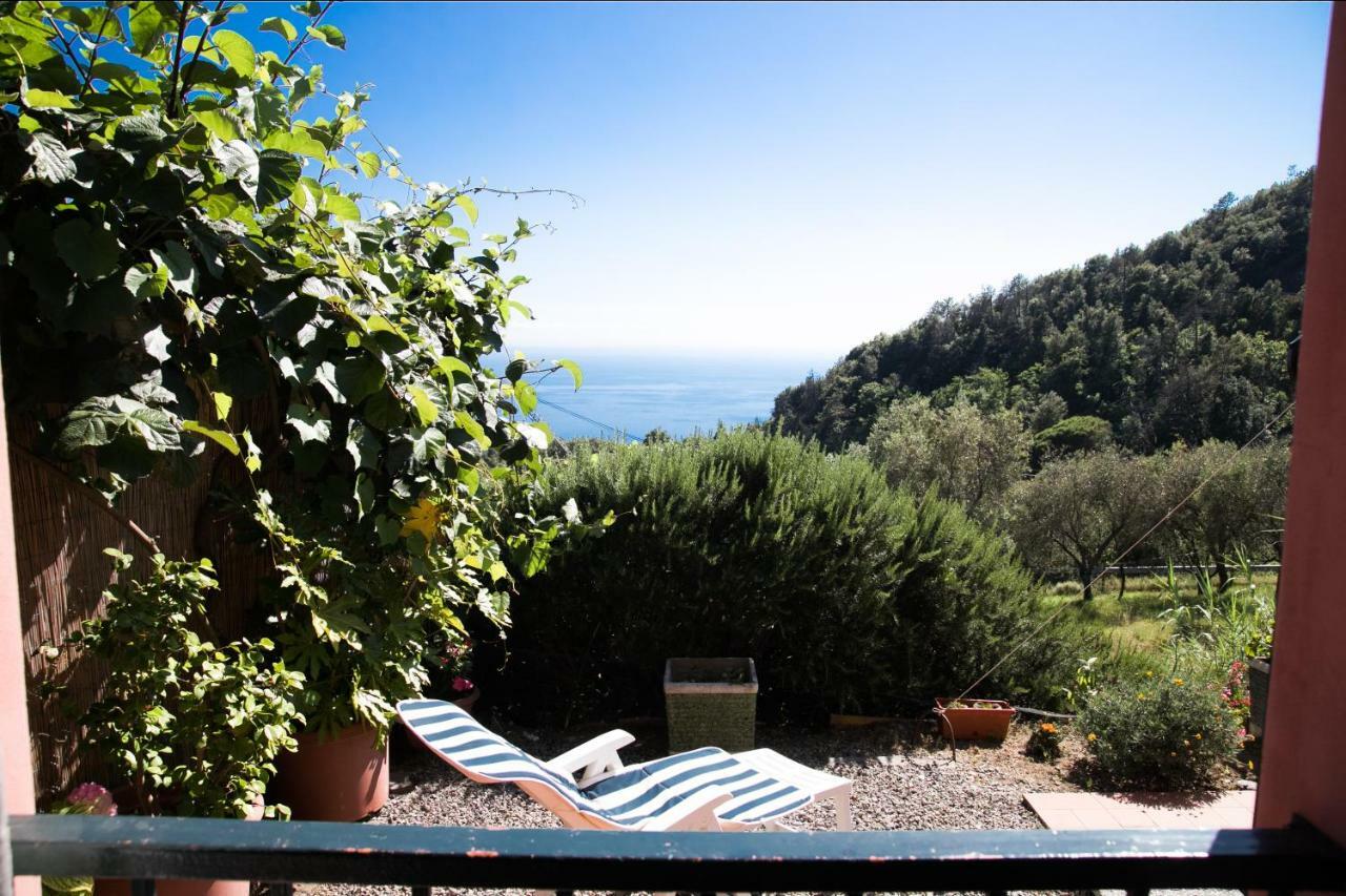 Casa Cinzia Bonassola Cinque Terre Daire Dış mekan fotoğraf