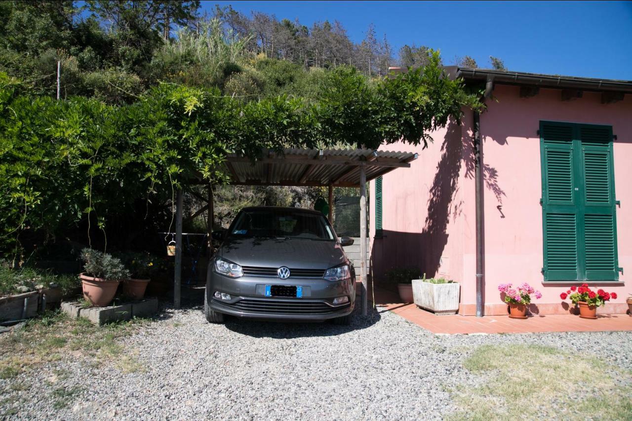 Casa Cinzia Bonassola Cinque Terre Daire Dış mekan fotoğraf